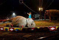 Cole Brothers Circus
