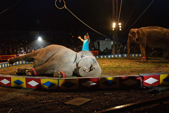 Cole Brothers Circus