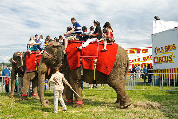 Cole Brothers Circus