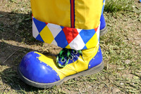Cole Brothers Circus