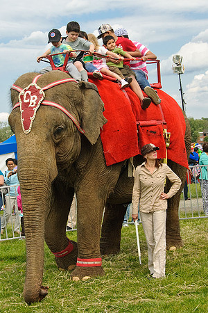 Cole Brothers Circus