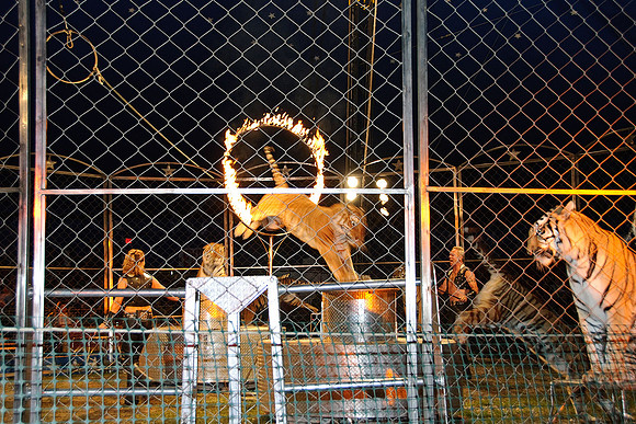 Cole Brothers Circus