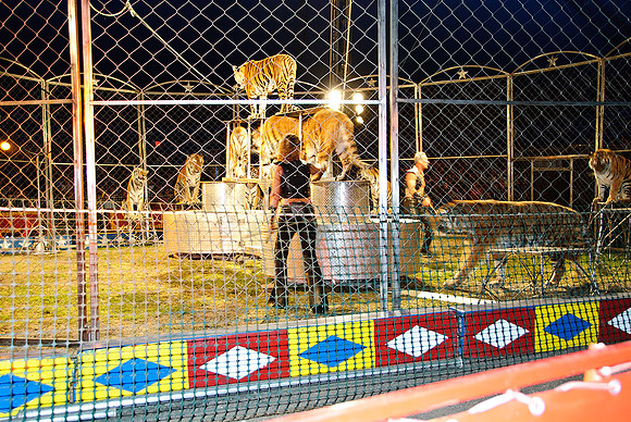 Cole Brothers Circus