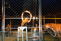Cole Brothers Circus