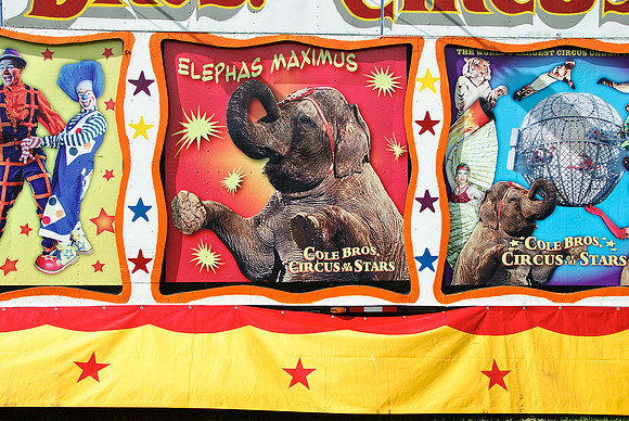 Cole Brothers Circus