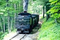 Cass Scenic Railroad