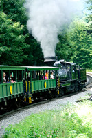 Cass Scenic Railroad