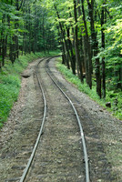 Cass Scenic Railroad