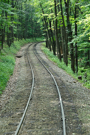 Cass Scenic Railroad