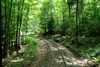 Cass Scenic Railroad
