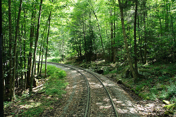 Cass Scenic Railroad