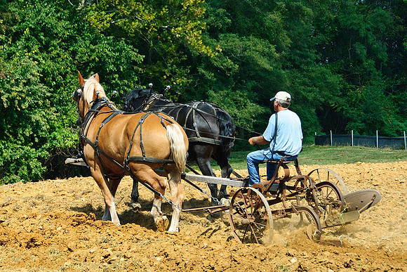 West Friendship, MD