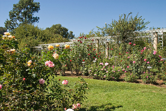 California Gardens