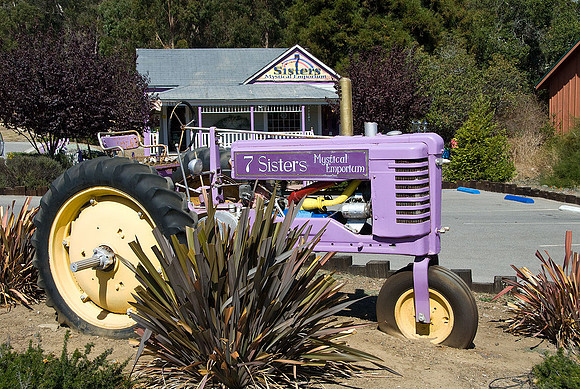 Caifornia Style