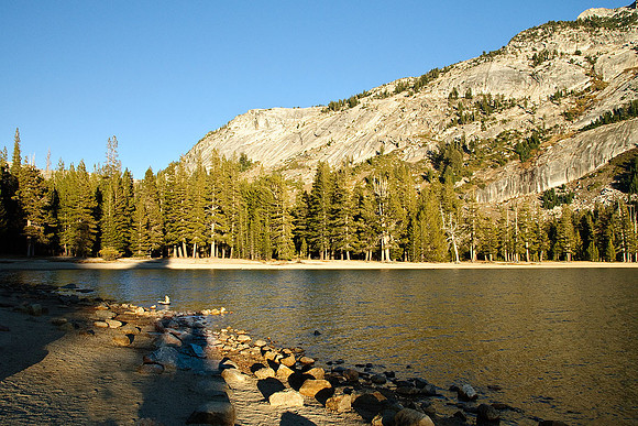 Tenaya Lake