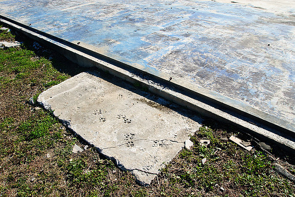Three Years After Katrina