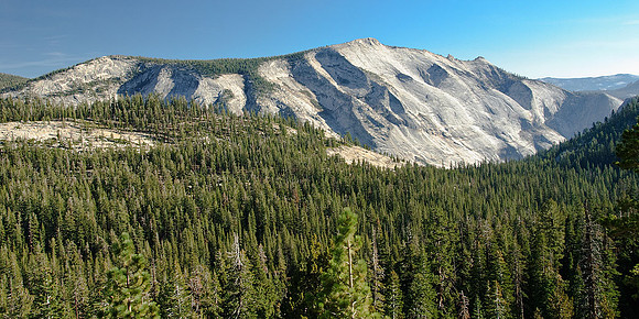 Tioga Road