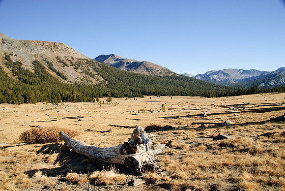 Tuolumne Meadows