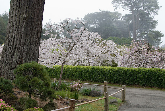 California Gardens