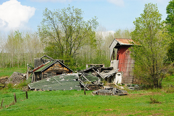 Bovina, NY