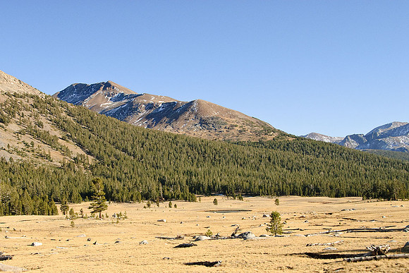 Tuolumne Meadows