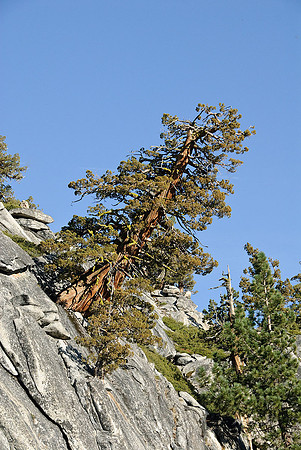 Tioga Road