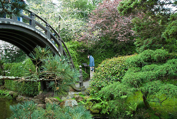 California Gardens