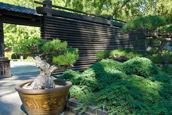 California Gardens