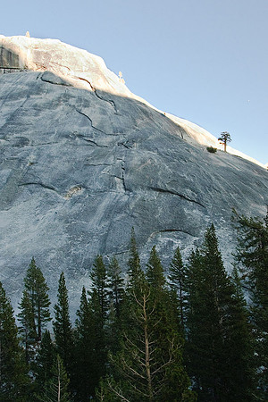 Tioga Road