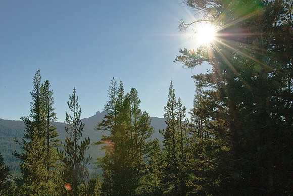 Tioga Road