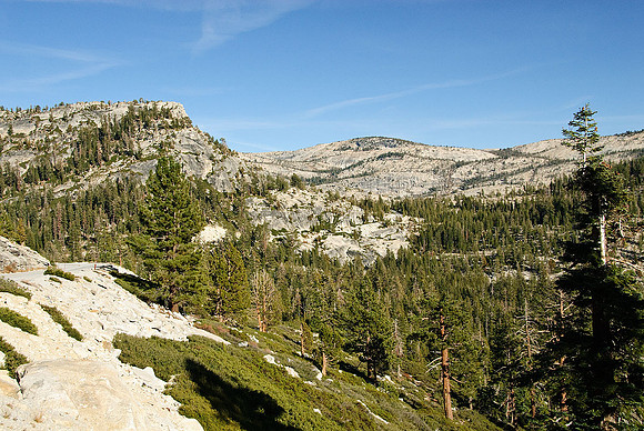 Tioga Road