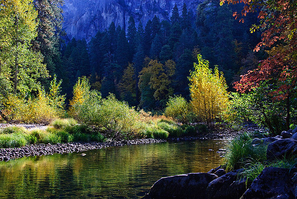 Fall Color Along the Merced River