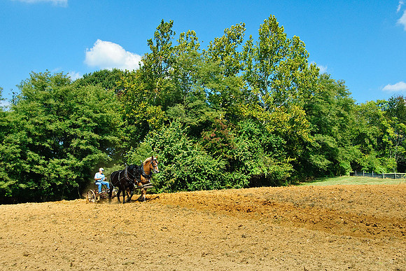 West Friendship, MD