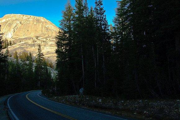 Tioga Road