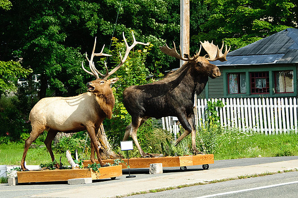 Keene, NY