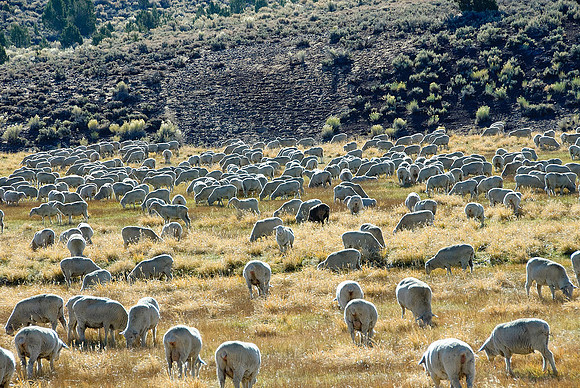 Bodie, CA