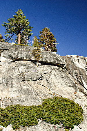 Tioga Road