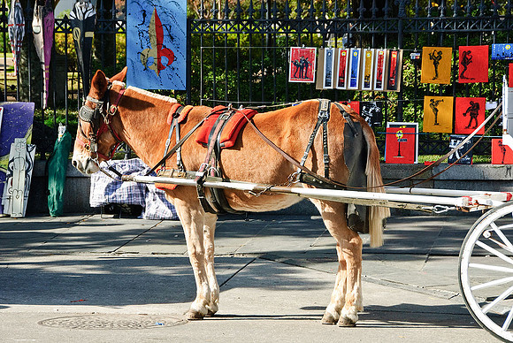Jackson Square