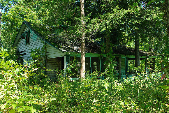 Willaims Grove Amusement Park