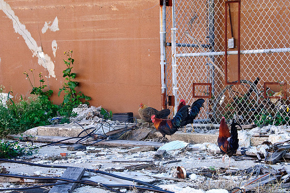Three Years After Katrina