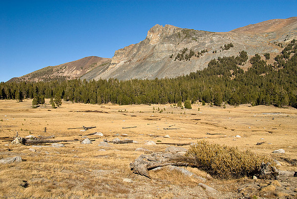 Tuolumne Meadows