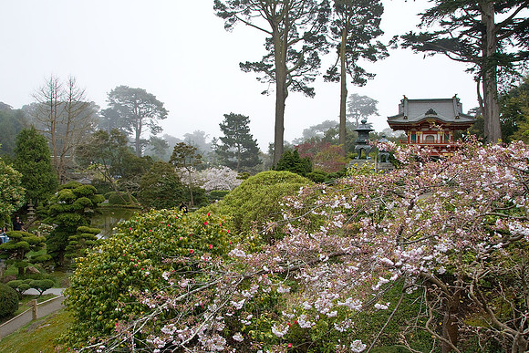 California Gardens