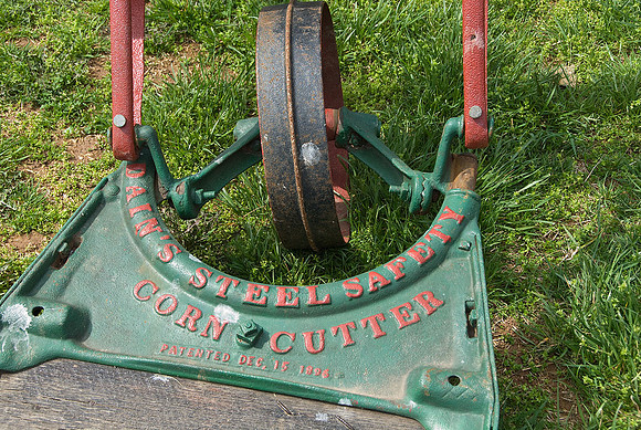 Corn Cutter