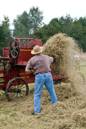 Feeding a Hay Bailer