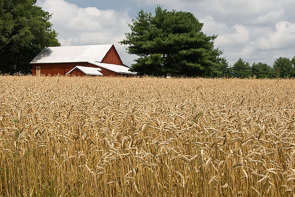Maryland
