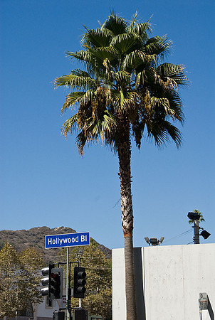 Hollywood Boulevard