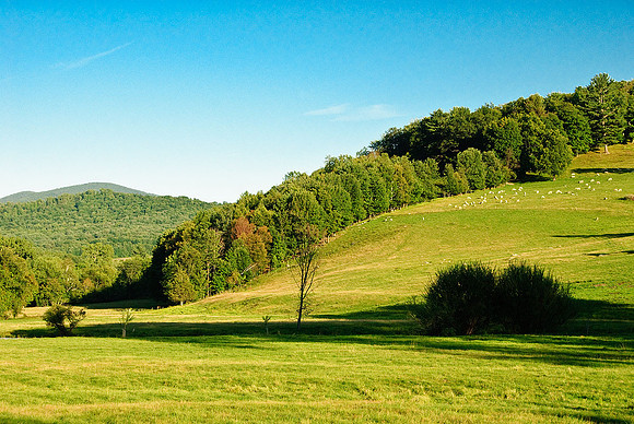 Vermont